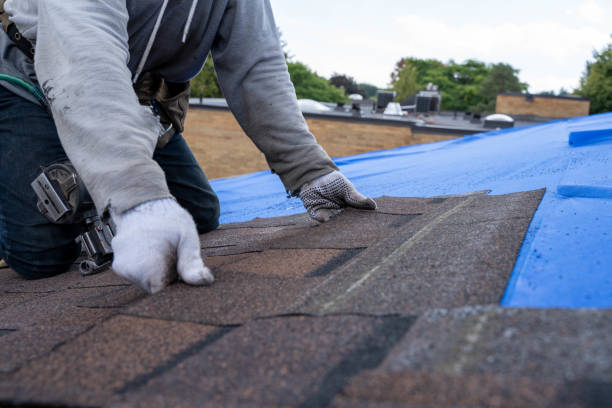 Best Shingle Roofing Installation  in Bells, TX