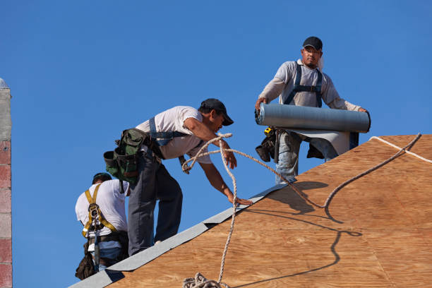 Best Roof Waterproofing Services  in Bells, TX